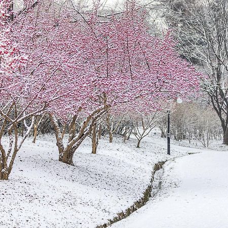 Parkavenue Guesthouse 서울특별시 외부 사진
